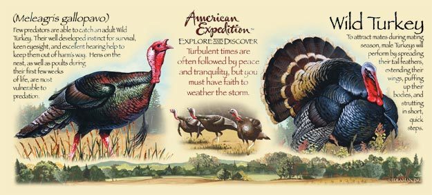 Фото 2. Кружка керамическая Wild Turkey (American Expedition)