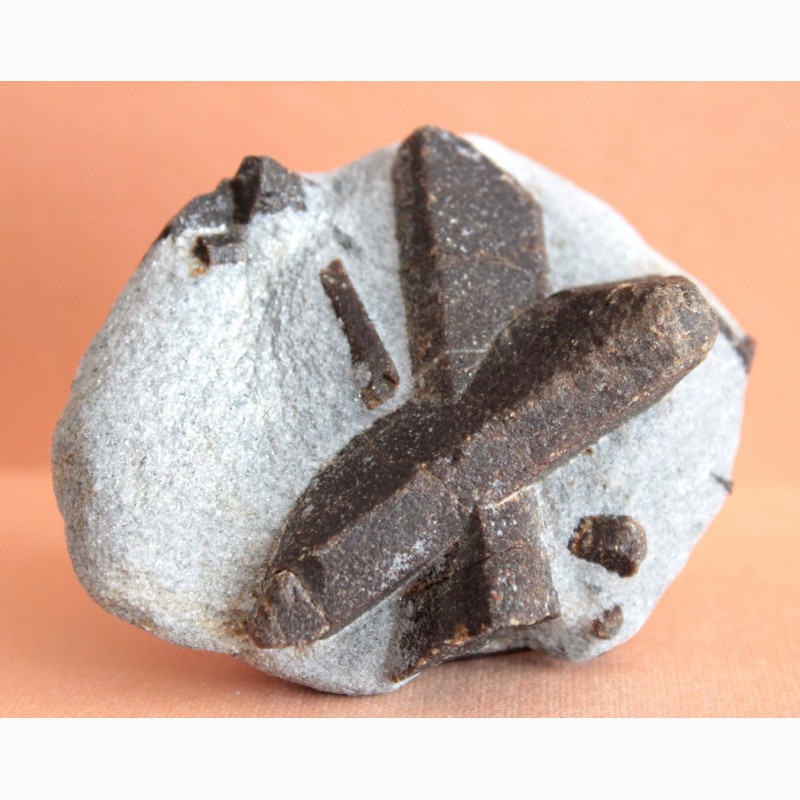 Фото 3. Ставролит, двойниковый кристалл (Косой крест) в слюдистом сланце