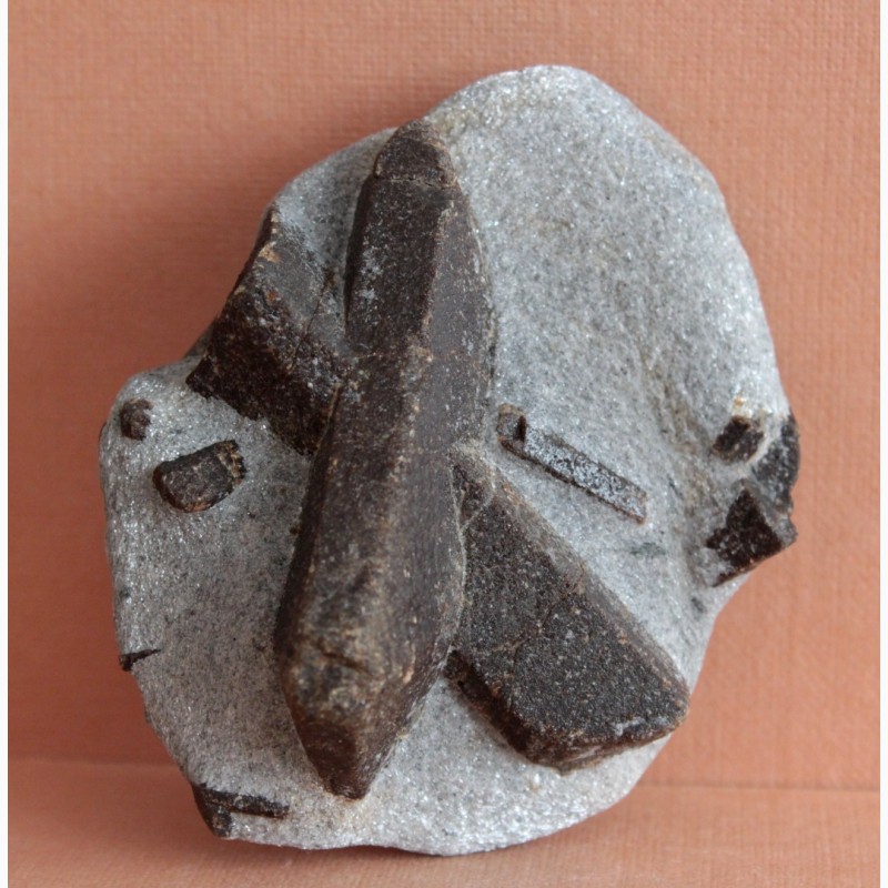 Фото 4. Ставролит, двойниковый кристалл (Косой крест) в слюдистом сланце