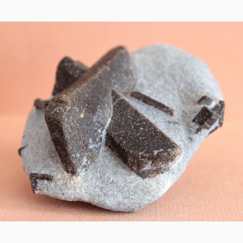 Фото 6. Ставролит, двойниковый кристалл (Косой крест) в слюдистом сланце