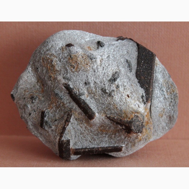 Фото 8. Ставролит, двойниковый кристалл (Косой крест) в слюдистом сланце