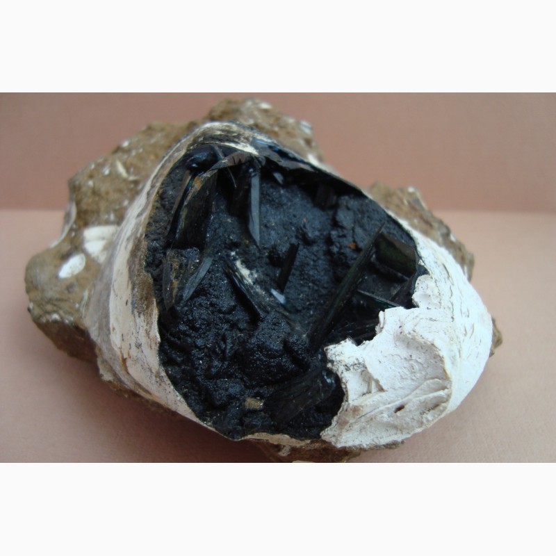 Фото 2. Керченит, гётит в ископаемой раковине, крупный образец