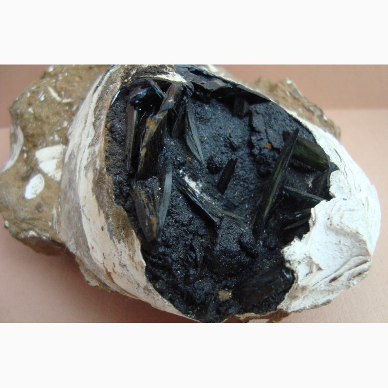 Фото 4. Керченит, гётит в ископаемой раковине, крупный образец