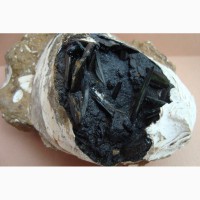 Керченит, гётит в ископаемой раковине, крупный образец