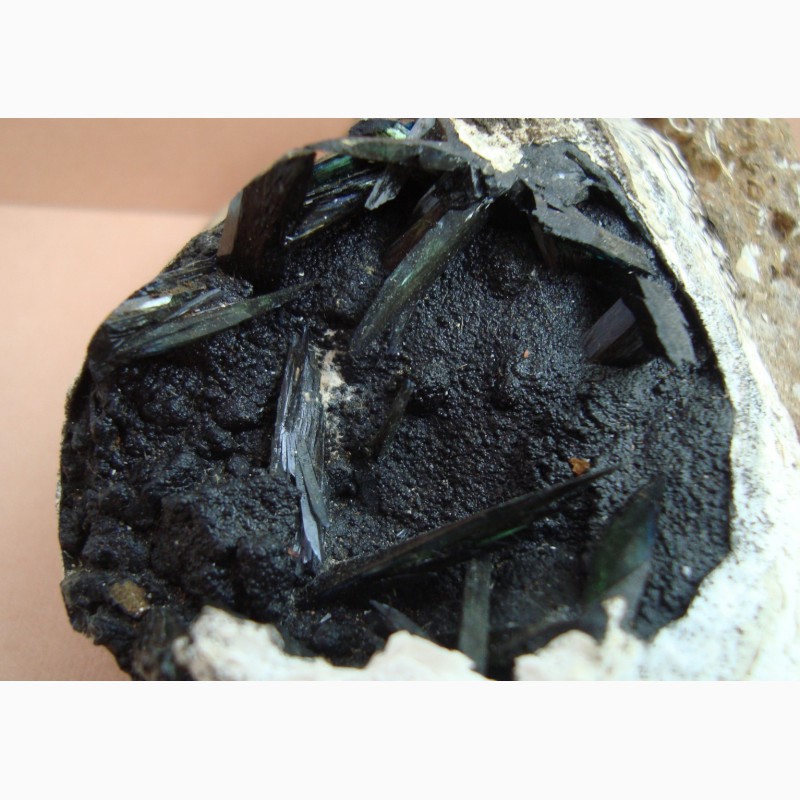 Фото 5. Керченит, гётит в ископаемой раковине, крупный образец