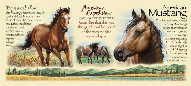 Фото 2. Кружка керамическая American Mustang (American Expedition)