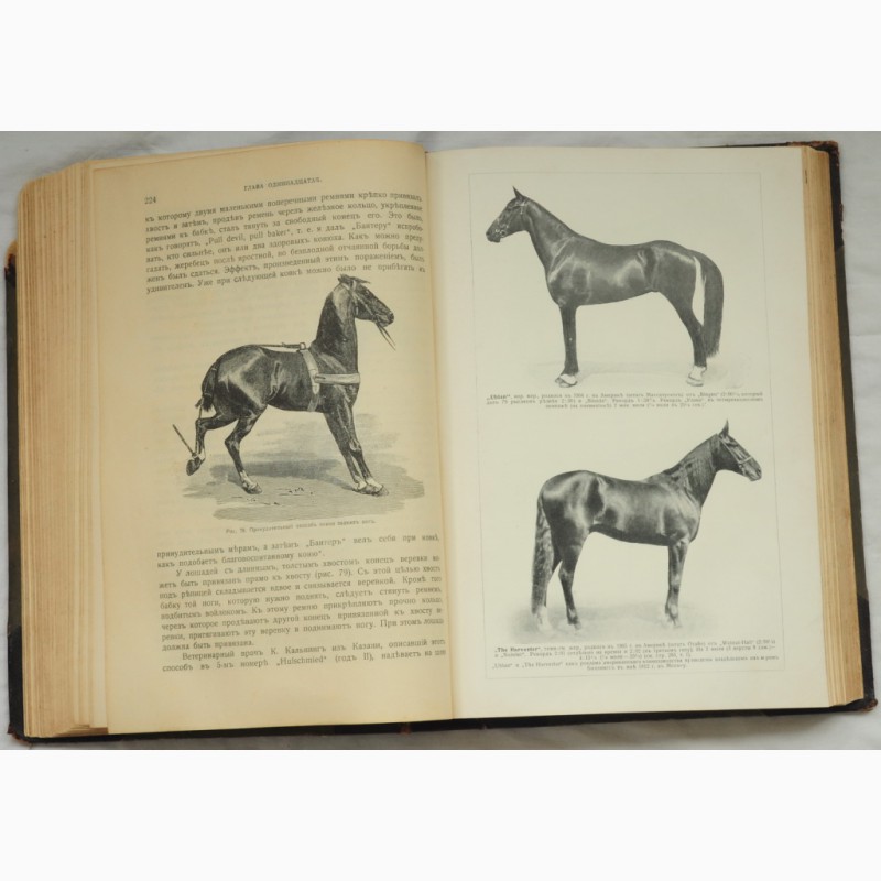 Фото 7. Книга Кони, мои кони, царская Россия