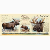 Кружка керамическая Bull Moose (American Expedition)