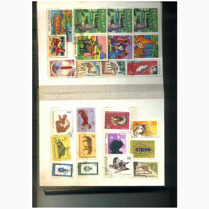 Фото 2. Продам коллекцию марок 50 - 80 годов Польша, ГДР, Балгария, Гвинея, Куба, Монголия