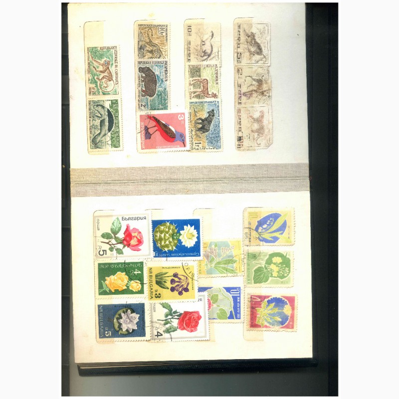 Фото 3. Продам коллекцию марок 50 - 80 годов Польша, ГДР, Балгария, Гвинея, Куба, Монголия