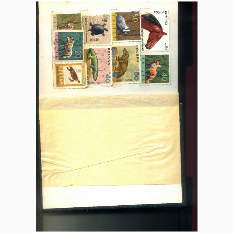 Фото 4. Продам коллекцию марок 50 - 80 годов Польша, ГДР, Балгария, Гвинея, Куба, Монголия