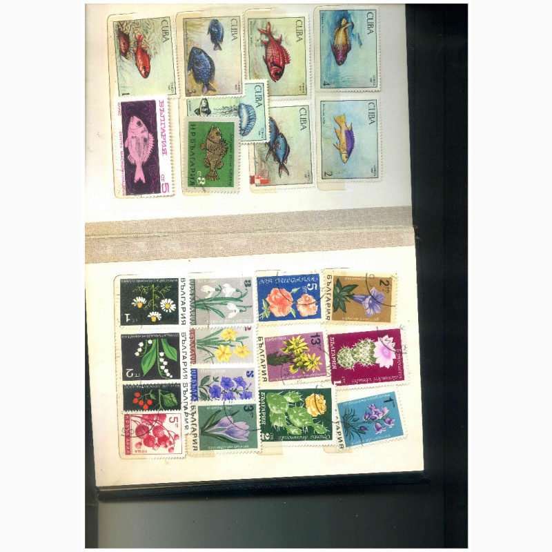 Фото 8. Продам коллекцию марок 50 - 80 годов Польша, ГДР, Балгария, Гвинея, Куба, Монголия