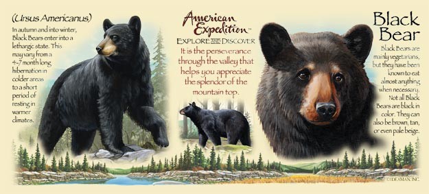 Фото 2. Кружка керамическая Black Bear American Expedition