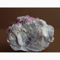 Кристаллы розового турмалина в лепидолите