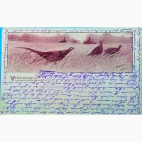 Редкая открытка Фазаны в поле 1918 год