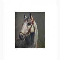 Продается Картина Портрет коня с уздечкой. Michael Borbely 1963 год