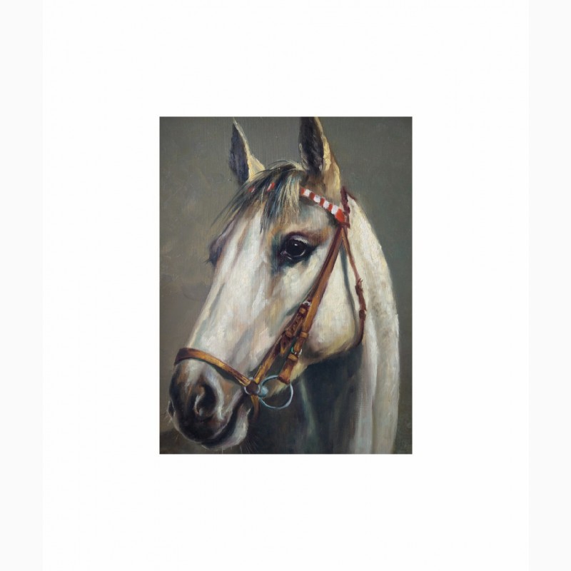 Фото 3. Продается Картина Портрет коня с уздечкой. Michael Borbely 1963 год