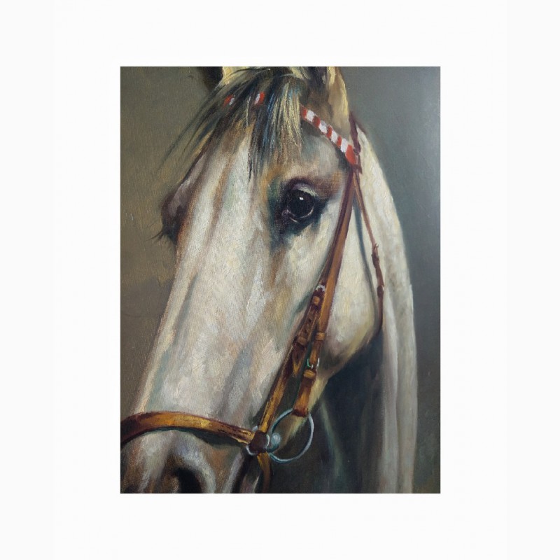 Фото 4. Продается Картина Портрет коня с уздечкой. Michael Borbely 1963 год