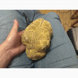 Продам каменную черепаху