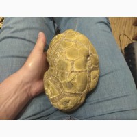 Продам каменную черепаху