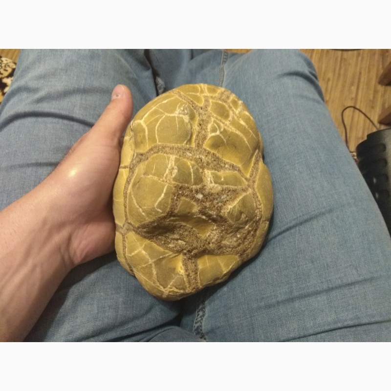 Фото 4. Продам каменную черепаху