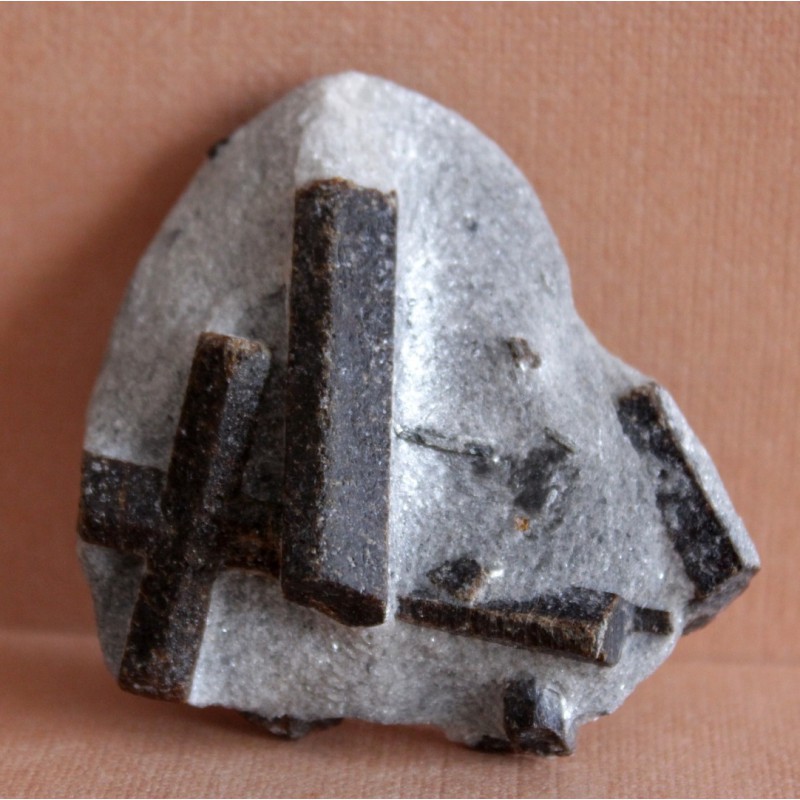 Фото 3. Ставролит, двойниковый кристалл (Прямой крест) и одиночные кристаллы в слюдистом сланце