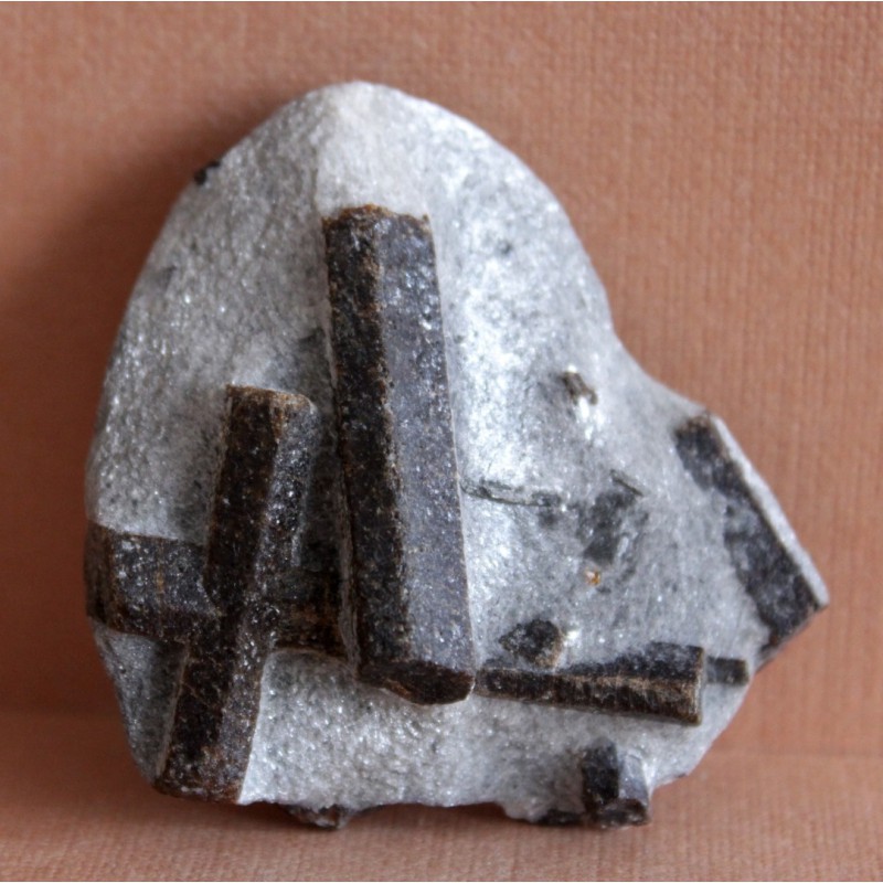 Фото 4. Ставролит, двойниковый кристалл (Прямой крест) и одиночные кристаллы в слюдистом сланце