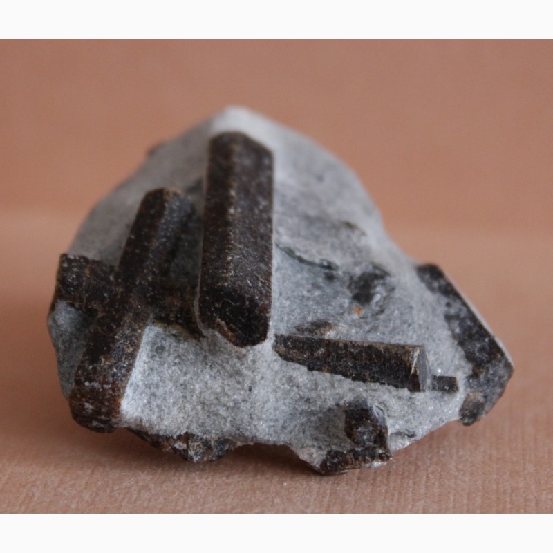 Фото 6. Ставролит, двойниковый кристалл (Прямой крест) и одиночные кристаллы в слюдистом сланце