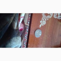 Продам монету рубль 1814 спб мф