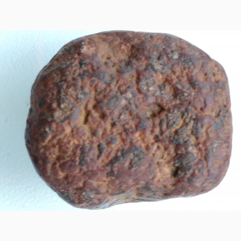 Фото 2. Разные метеориты