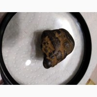 Разные метеориты