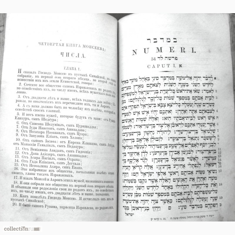 Фото 7. Раритет. Священная книга Ветхий Завет т.1. 1877 год