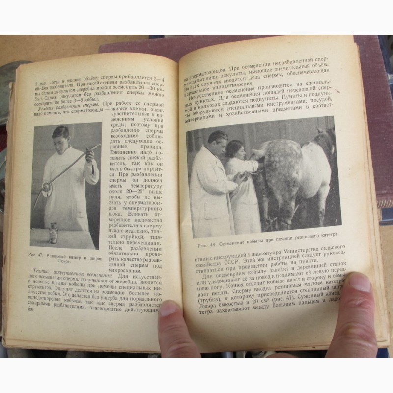 Фото 5. Книга учебник по коневодству, 1948 год