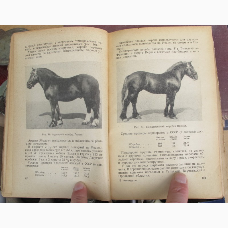 Фото 7. Книга учебник по коневодству, 1948 год