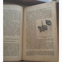 Книга Русский огород, питомник и плодовый сад, Шредер, ранние советы