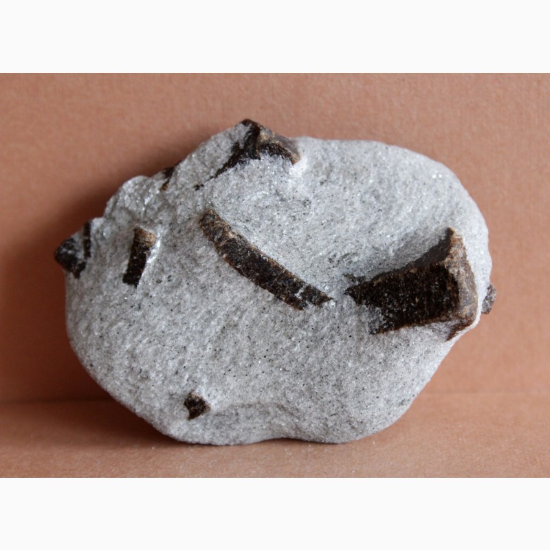 Фото 5. Ставролит, двойниковый и одиночные кристаллы в слюдистом сланце