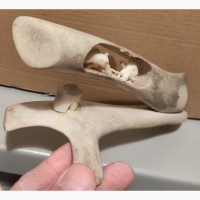 Костяная скульптура Чукча с оленем, резьба по кости, ручная работа