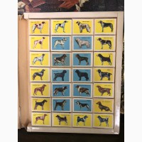 Набор спичечных коробков (28 шт) Служебные и охотничьи собаки