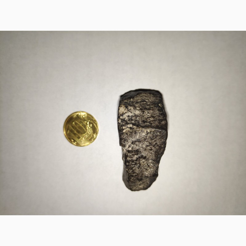 Фото 3. Meteorite Rare sle
