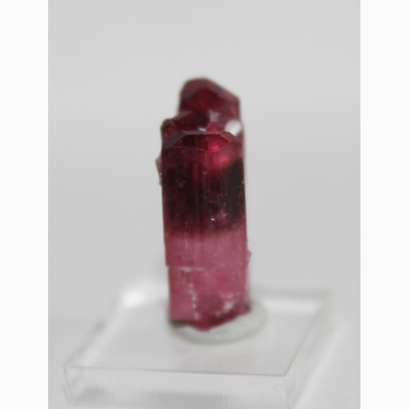 Фото 8. Параллельный сросток двухголовых кристаллов розового турмалина