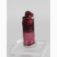 Параллельный сросток двухголовых кристаллов розового турмалина