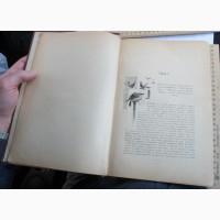 Книги 3 тома Путешествия по белу-свету, Петербург, 1893 год