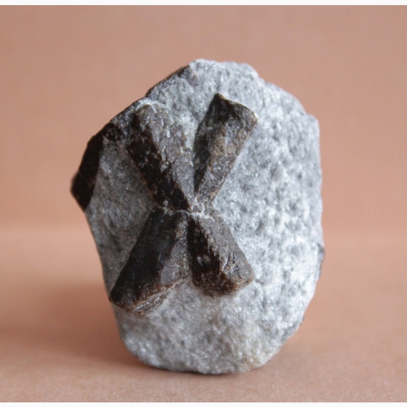 Ставролит, двойниковый (Косой крест) и одиночный кристаллы в слюдистом сланце