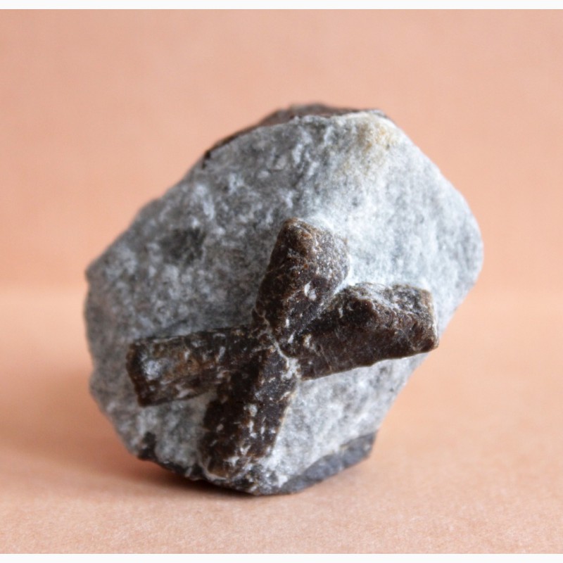 Фото 10. Ставролит, двойниковый (Косой крест) и одиночный кристаллы в слюдистом сланце