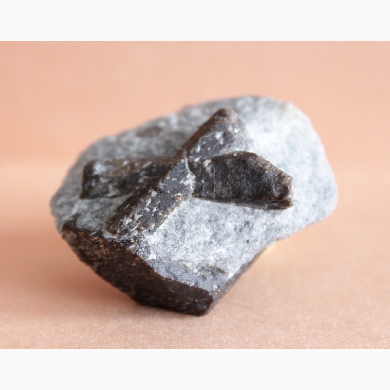 Фото 11. Ставролит, двойниковый (Косой крест) и одиночный кристаллы в слюдистом сланце