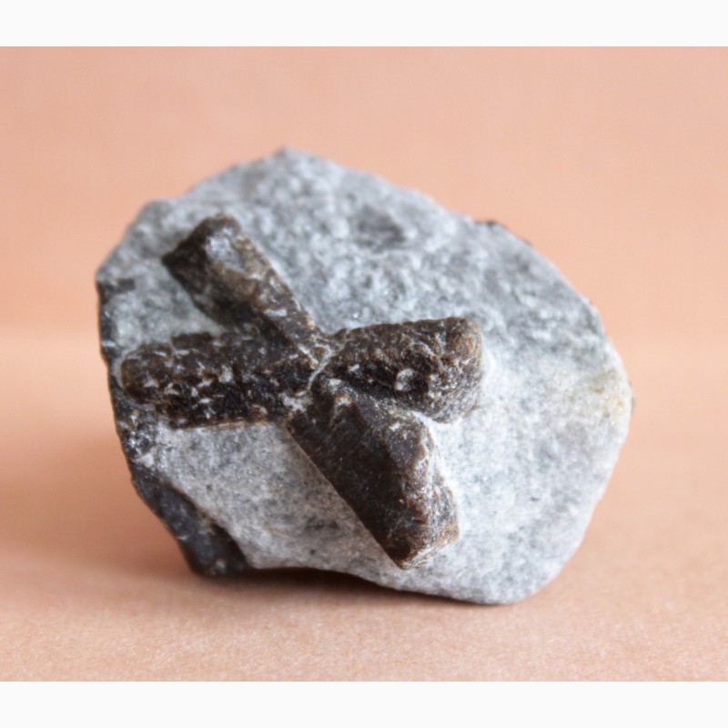 Фото 2. Ставролит, двойниковый (Косой крест) и одиночный кристаллы в слюдистом сланце