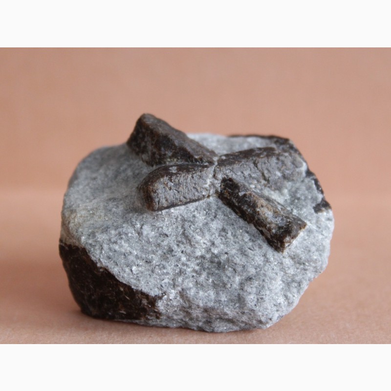 Фото 3. Ставролит, двойниковый (Косой крест) и одиночный кристаллы в слюдистом сланце