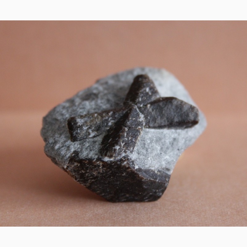 Фото 4. Ставролит, двойниковый (Косой крест) и одиночный кристаллы в слюдистом сланце