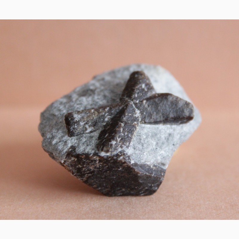Фото 5. Ставролит, двойниковый (Косой крест) и одиночный кристаллы в слюдистом сланце