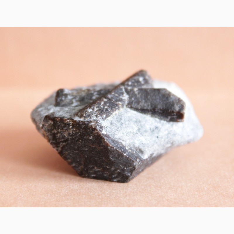 Фото 6. Ставролит, двойниковый (Косой крест) и одиночный кристаллы в слюдистом сланце